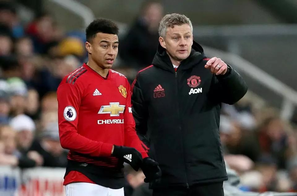 可能适得其 可能适得其