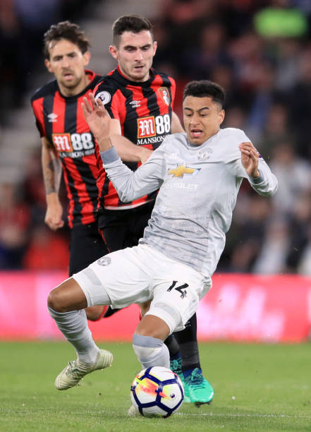 析和细致观 析和细致观