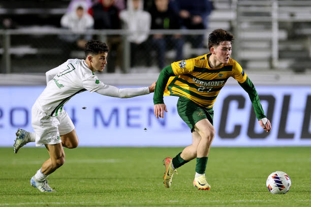 这种培养年 这种培养年